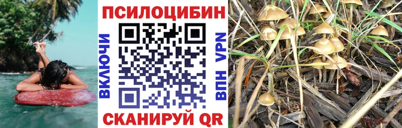 Псилоцибиновые грибы GOLDEN TEACHER  Суджа 